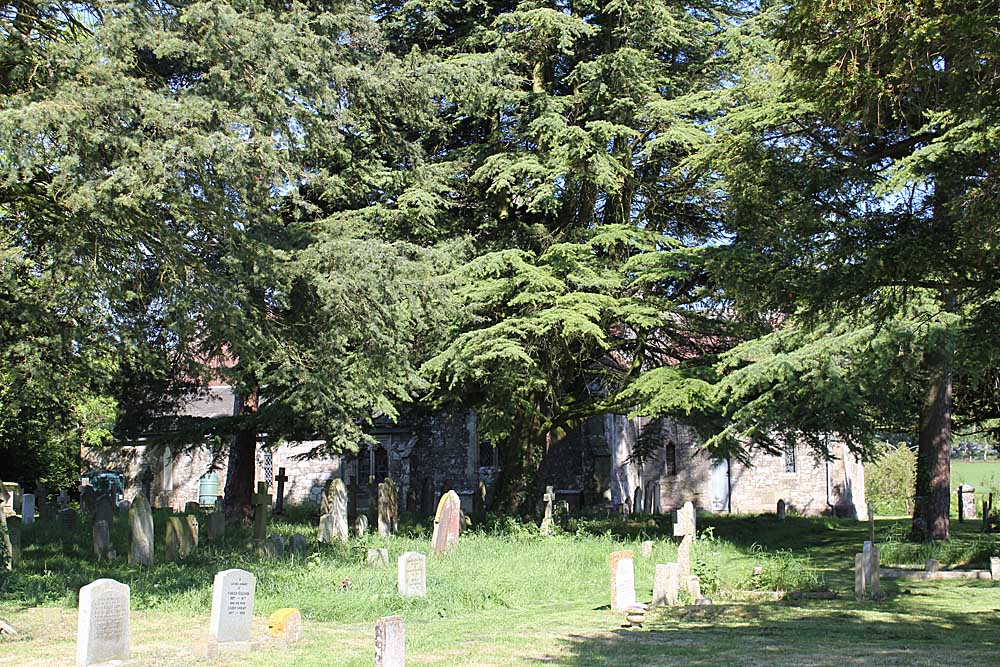 Holy Trinity Church, Bower Chalke